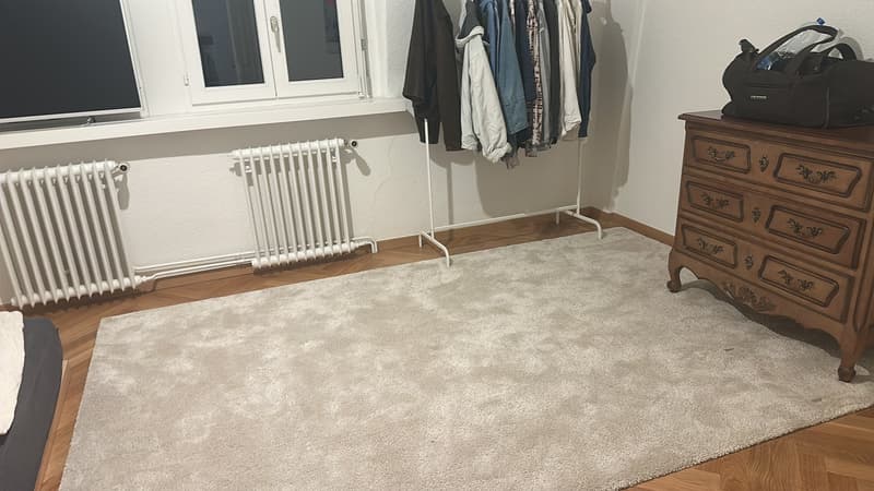 Stanze accogliente arredata in appartamento ristrutturato a Spyriplatz, Zurigo, disponibile dal 17.6 per un periodo limitato (2)