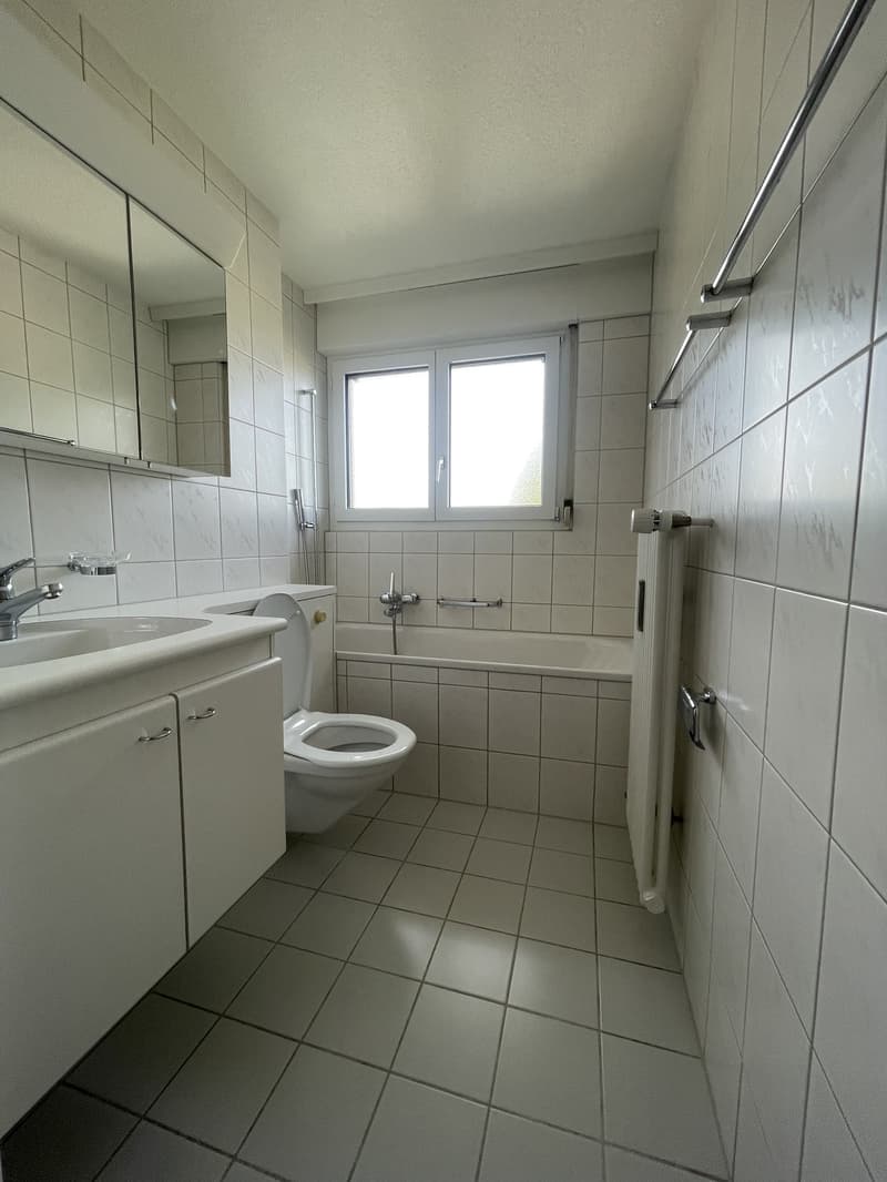 Appartamento 4 locali a Kriens (7)