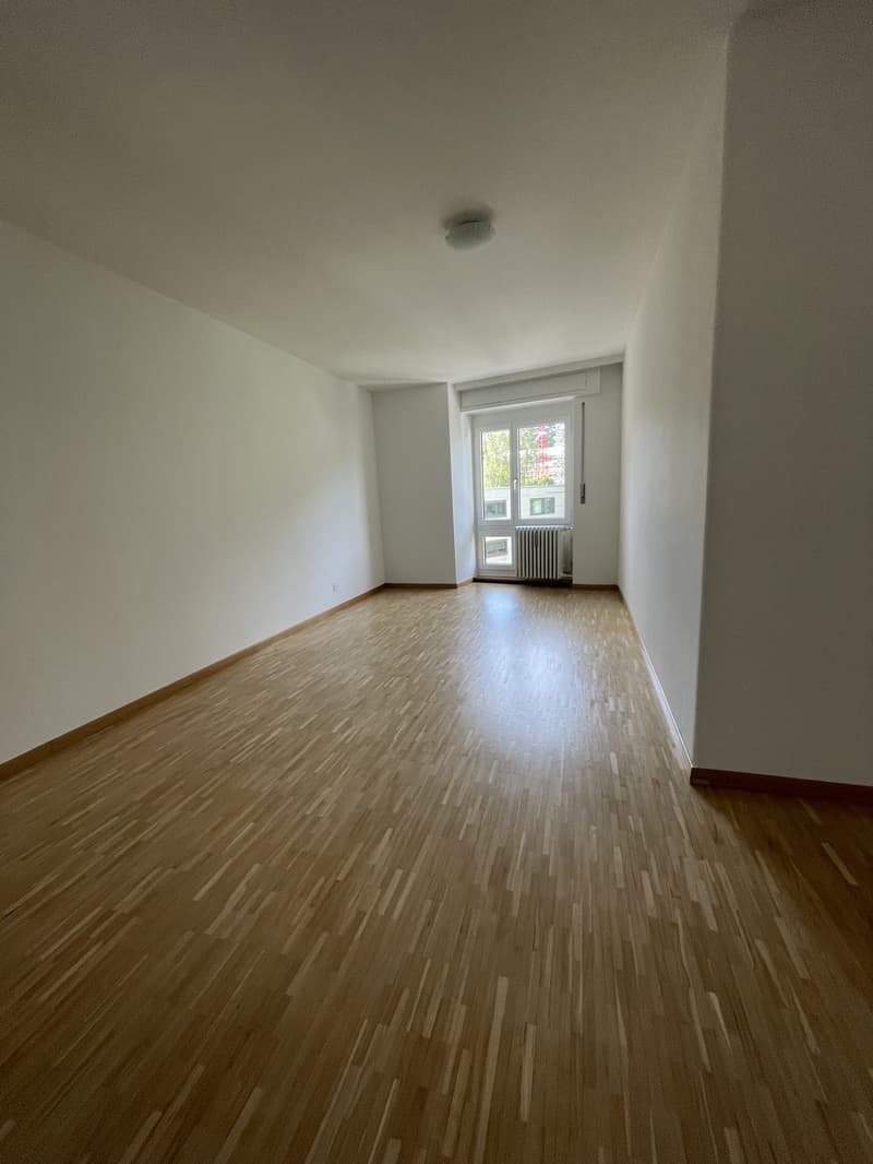 Appartamento 4 locali a Kriens (4)