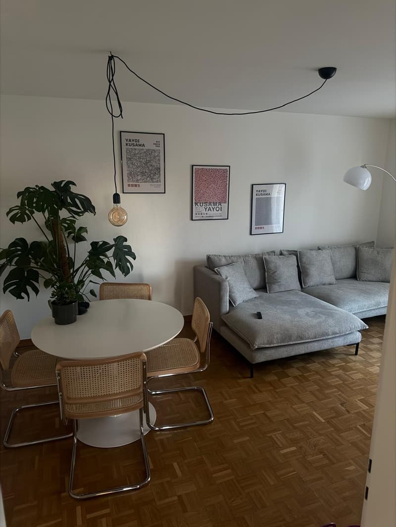 Befristete 2 1/2 Zimmer Wohnung (1)