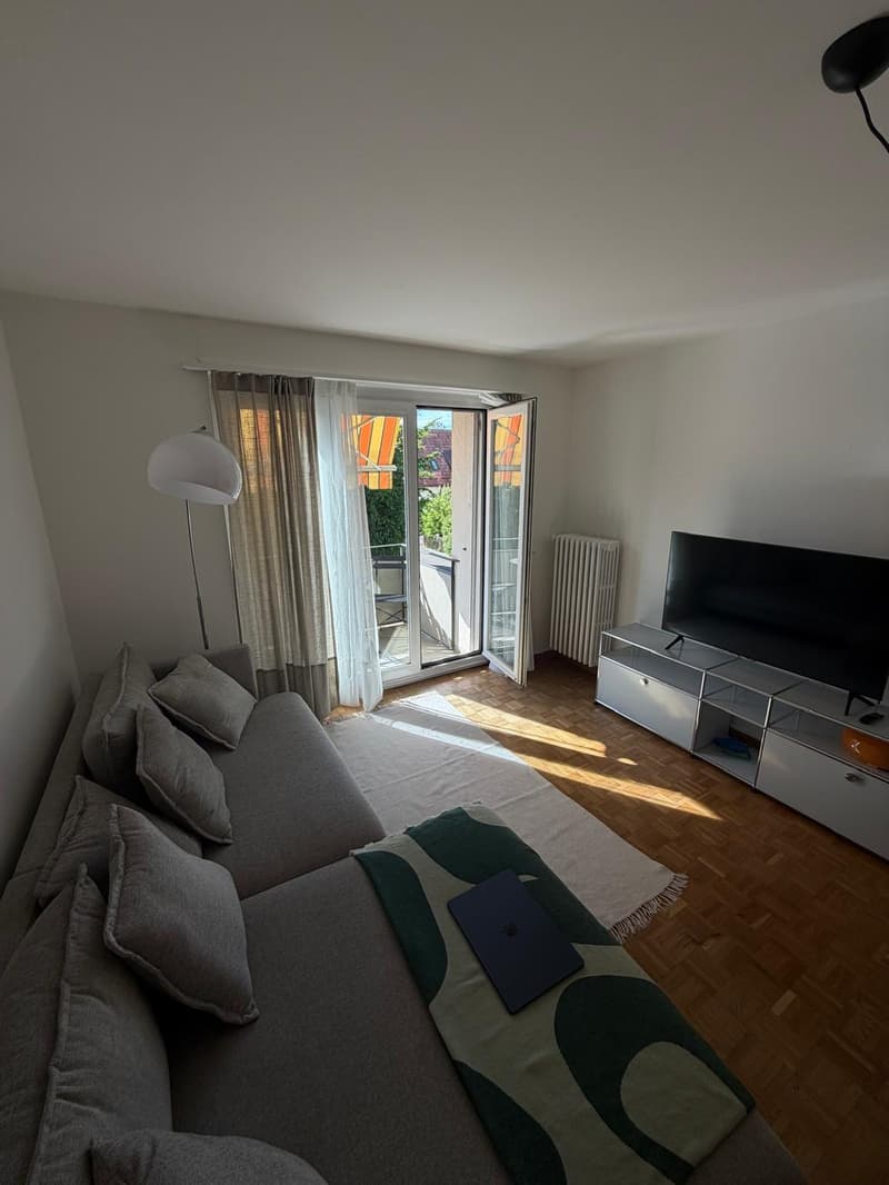 Befristete 2 1/2 Zimmer Wohnung (2)
