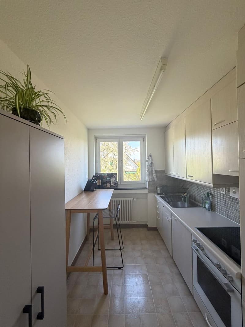 Befristete 2 1/2 Zimmer Wohnung (5)