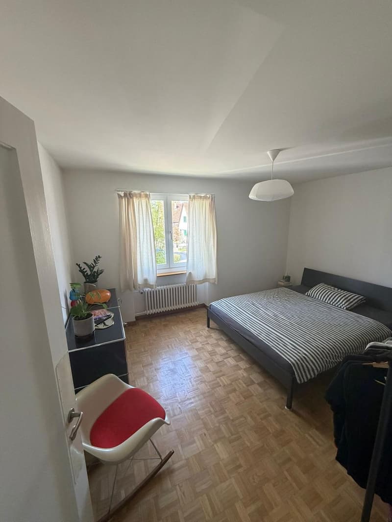 Befristete 2 1/2 Zimmer Wohnung (4)