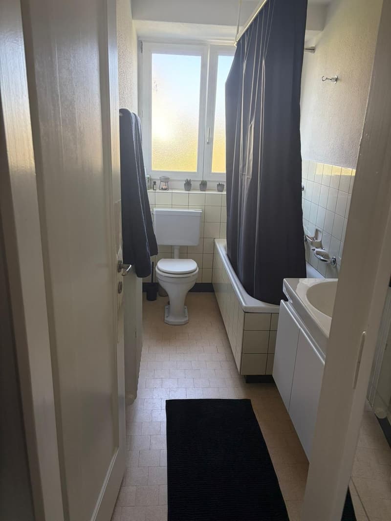 Befristete 2 1/2 Zimmer Wohnung (6)
