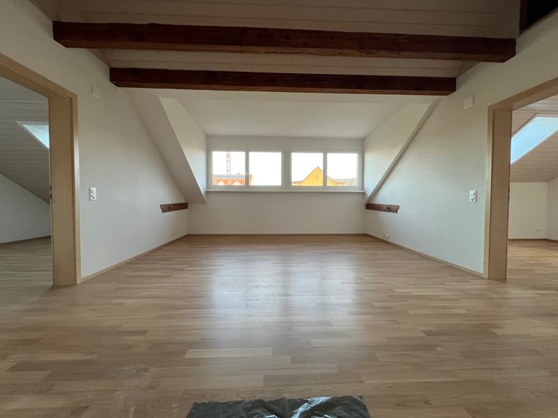 Schöne 4 1/2 Wohnung (1)