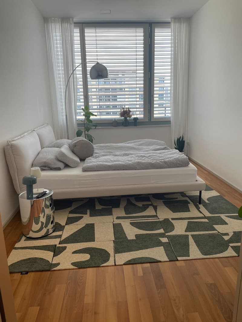 Appartement 4,5 pièces (luxe, 13e étage) Colocataire recherché (6)