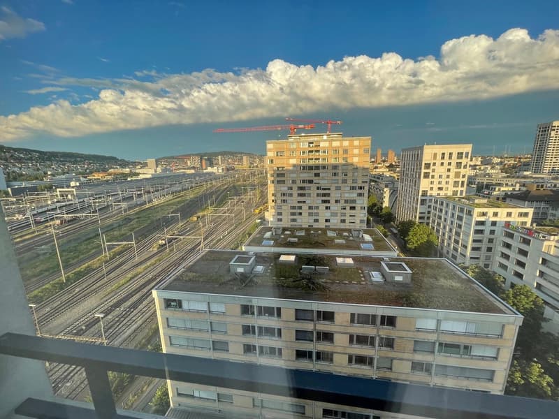 Appartement 4,5 pièces (luxe, 13e étage) Colocataire recherché (13)