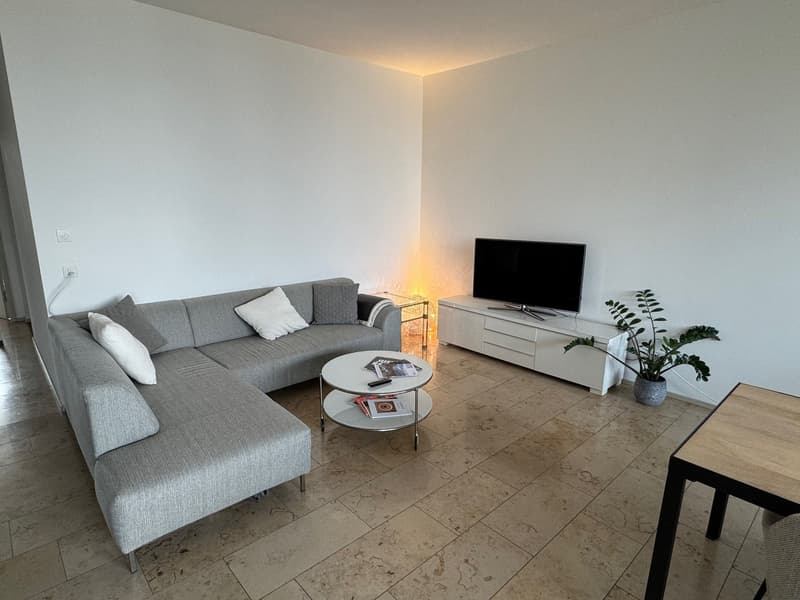 Appartement 4,5 pièces (luxe, 13e étage) Colocataire recherché (2)