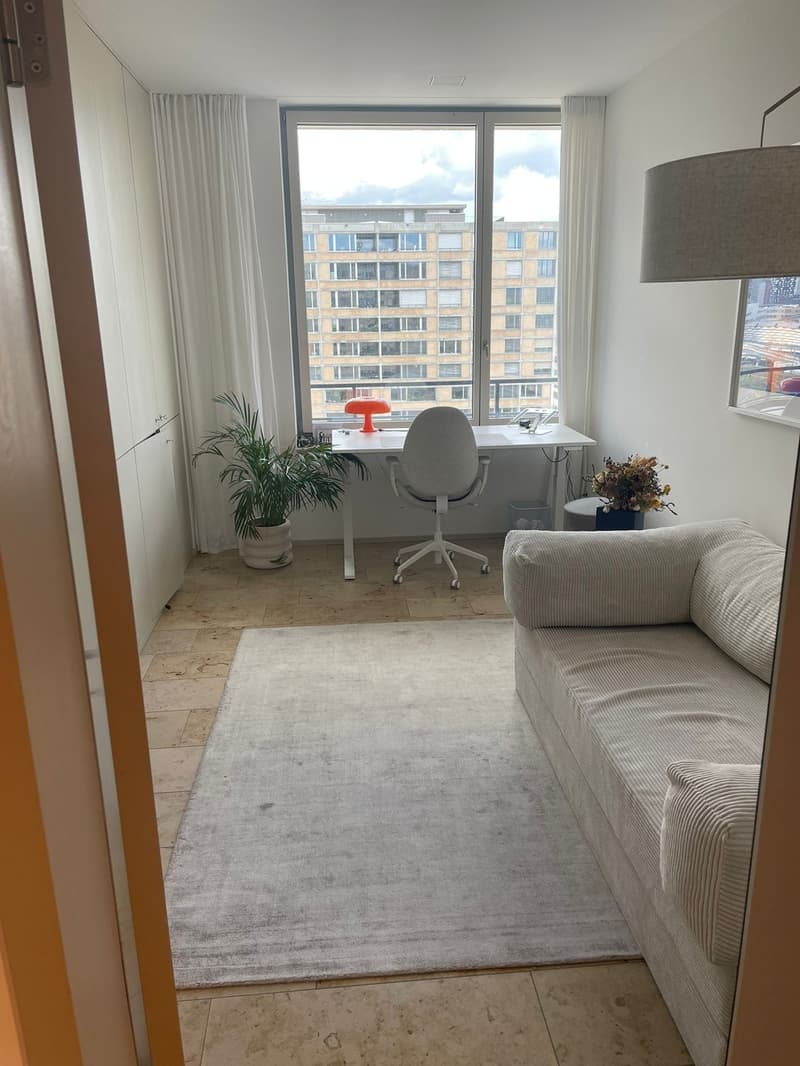 Appartement 4,5 pièces (luxe, 13e étage) Colocataire recherché (7)