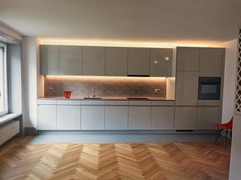 Apartment offer Lucerne (from 01.08.2026) Charming, stylishly renovated 2.5-room old building apartment (64 m²) on Winkelriedstrasse 11 in Lucerne. On the 2nd upper floor, modern kitchen with dishwasher. Washing machine and dryer in the laundry room. Oak parquet, shower/toilet (1)