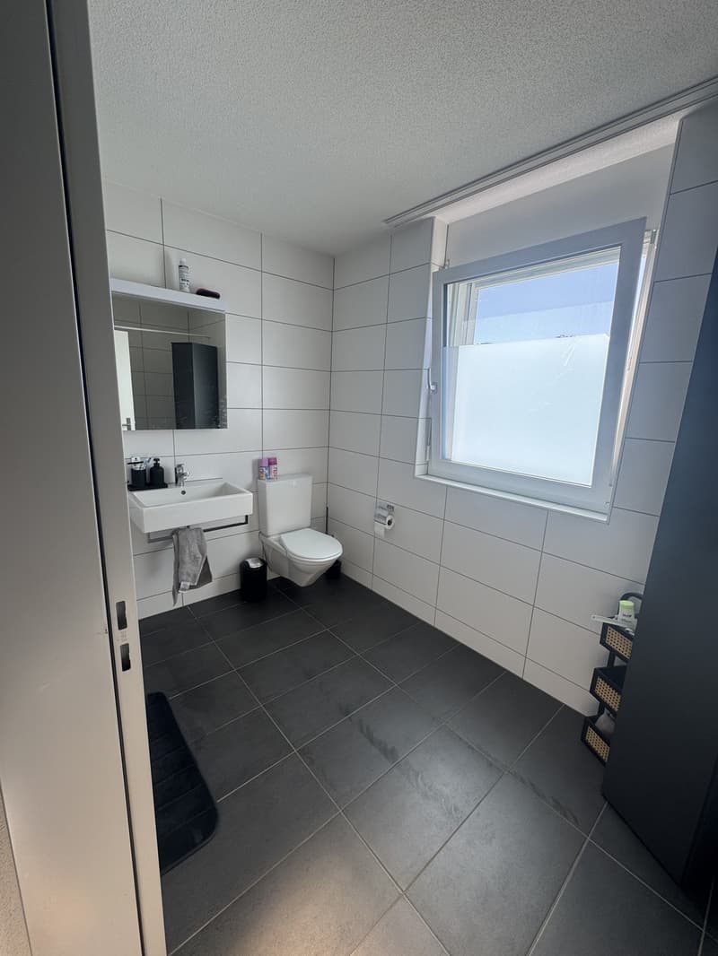 3 ½ locali appartamento, 5043 Holziken (6)