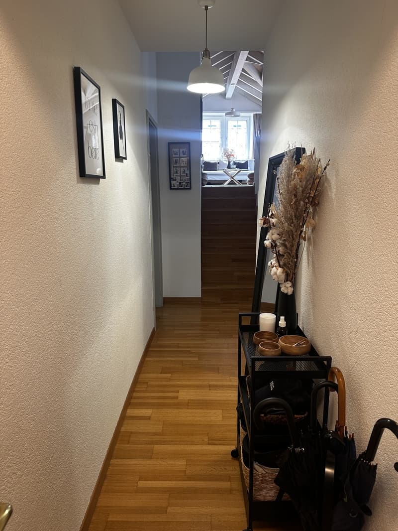 Charming Attic Apartment in Zurich / 1.5 Rooms / Fully Furnished (5)
