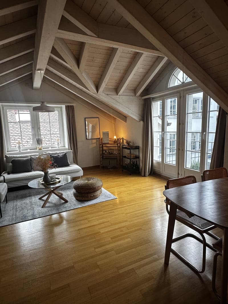 Charming Attic Apartment in Zurich / 1.5 Rooms / Fully Furnished (3)