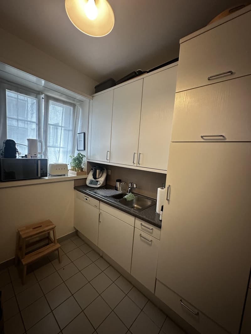 Charming Attic Apartment in Zurich / 1.5 Rooms / Fully Furnished (7)
