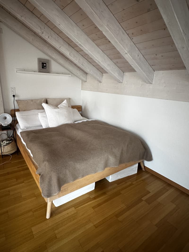 Charming Attic Apartment in Zurich / 1.5 Rooms / Fully Furnished (9)