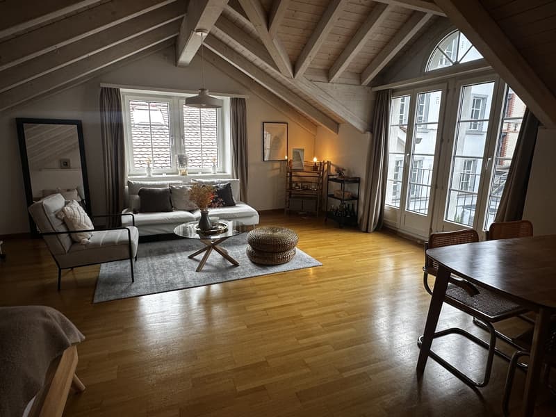 Charming Attic Apartment in Zurich / 1.5 Rooms / Fully Furnished (2)