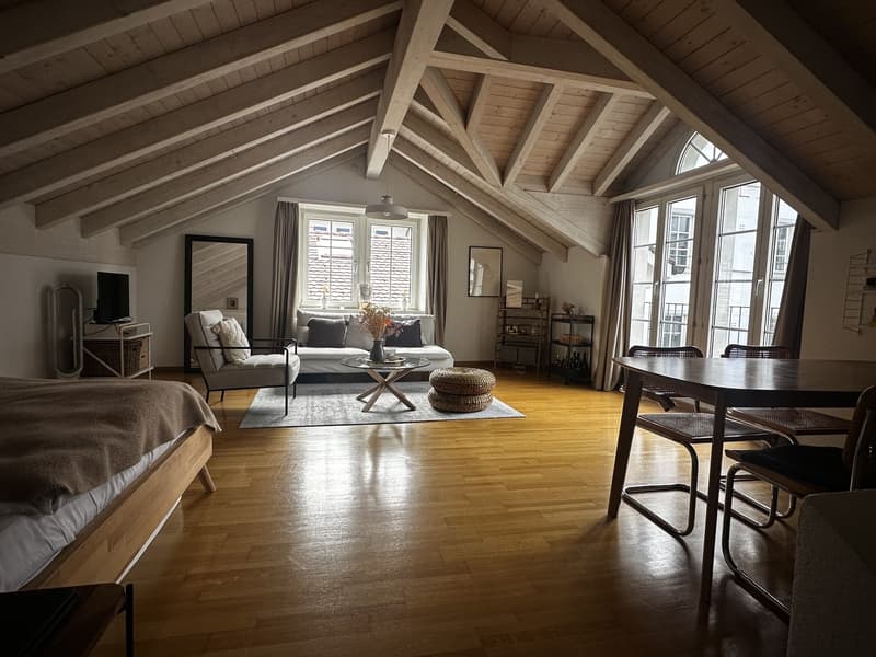 Charming Attic Apartment in Zurich / 1.5 Rooms / Fully Furnished (1)
