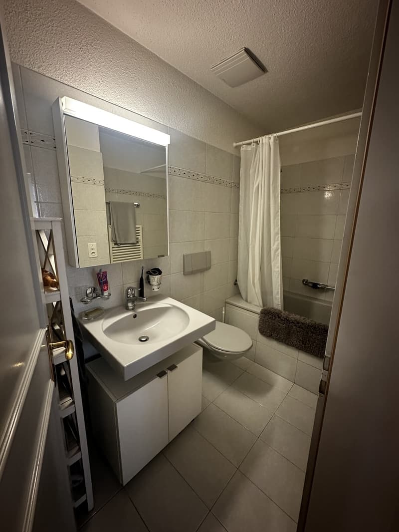 Charming Attic Apartment in Zurich / 1.5 Rooms / Fully Furnished (8)