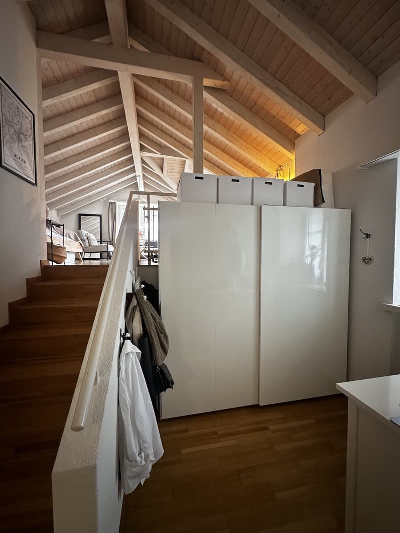 Charming Attic Apartment in Zurich / 1.5 Rooms / Fully Furnished (6)