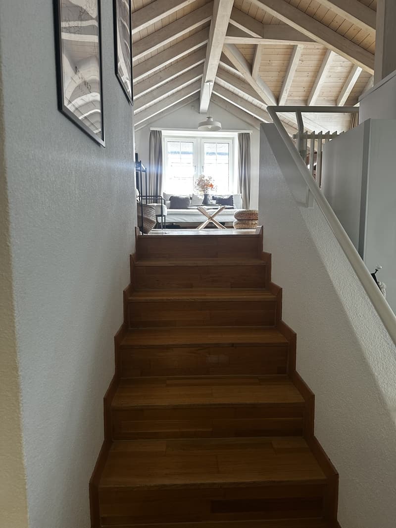 Charming Attic Apartment in Zurich / 1.5 Rooms / Fully Furnished (4)