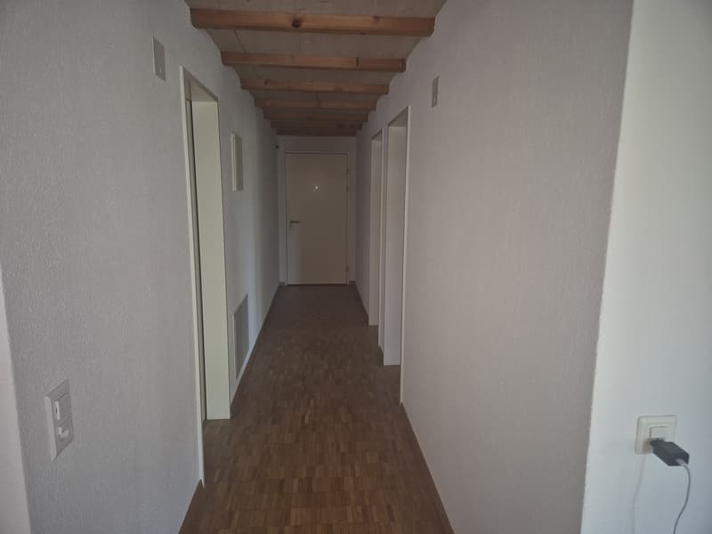 Disponibile immediatamente, appartamento 3,5 locali (2)