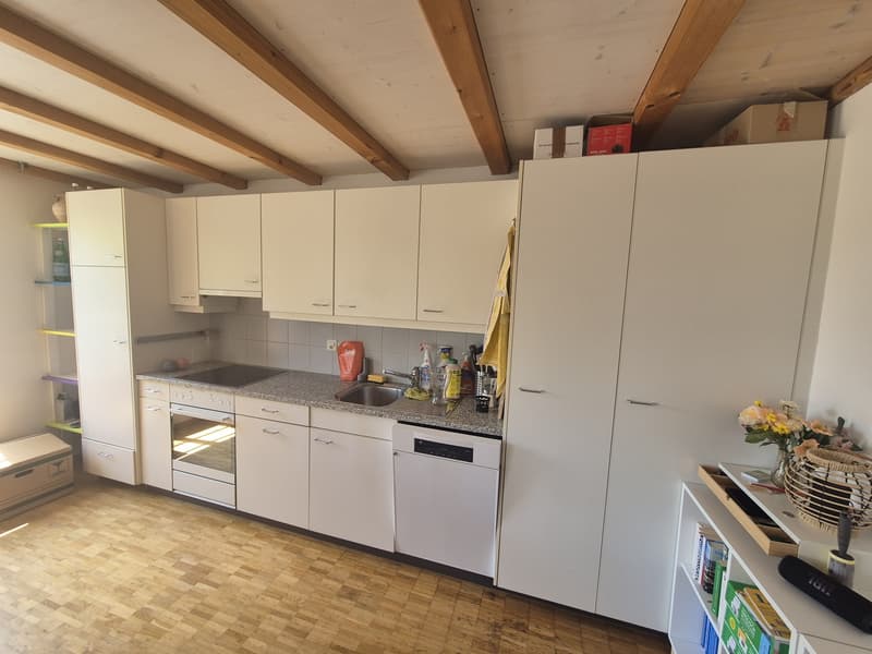 Disponibile immediatamente, appartamento 3,5 locali (6)