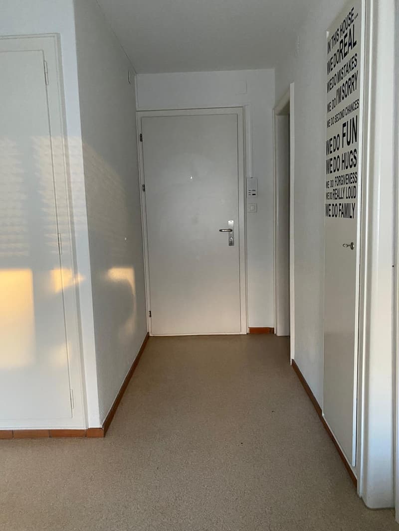 (Sublet) Charming & Central 1.5 Room Apartment in Schmiede Wiedikon (2)