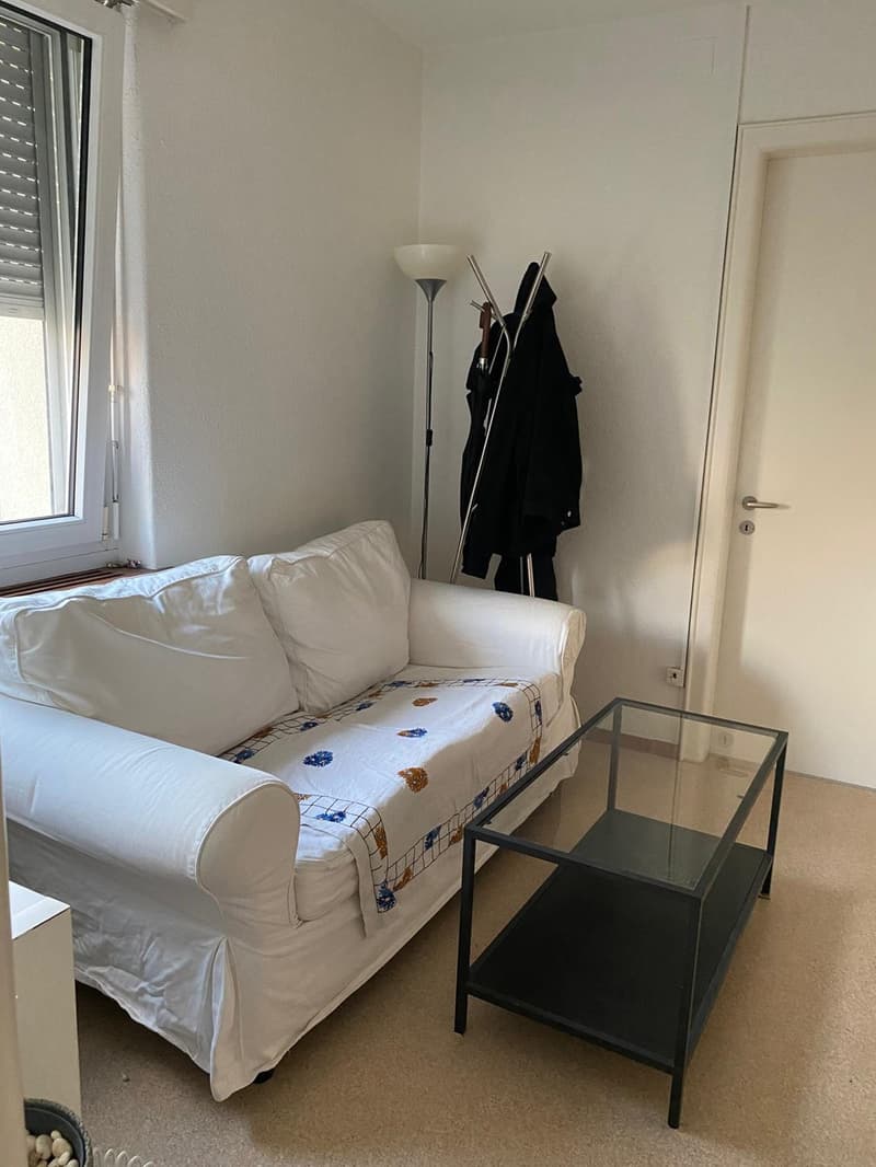 (Sublet) Charming & Central 1.5 Room Apartment in Schmiede Wiedikon (5)