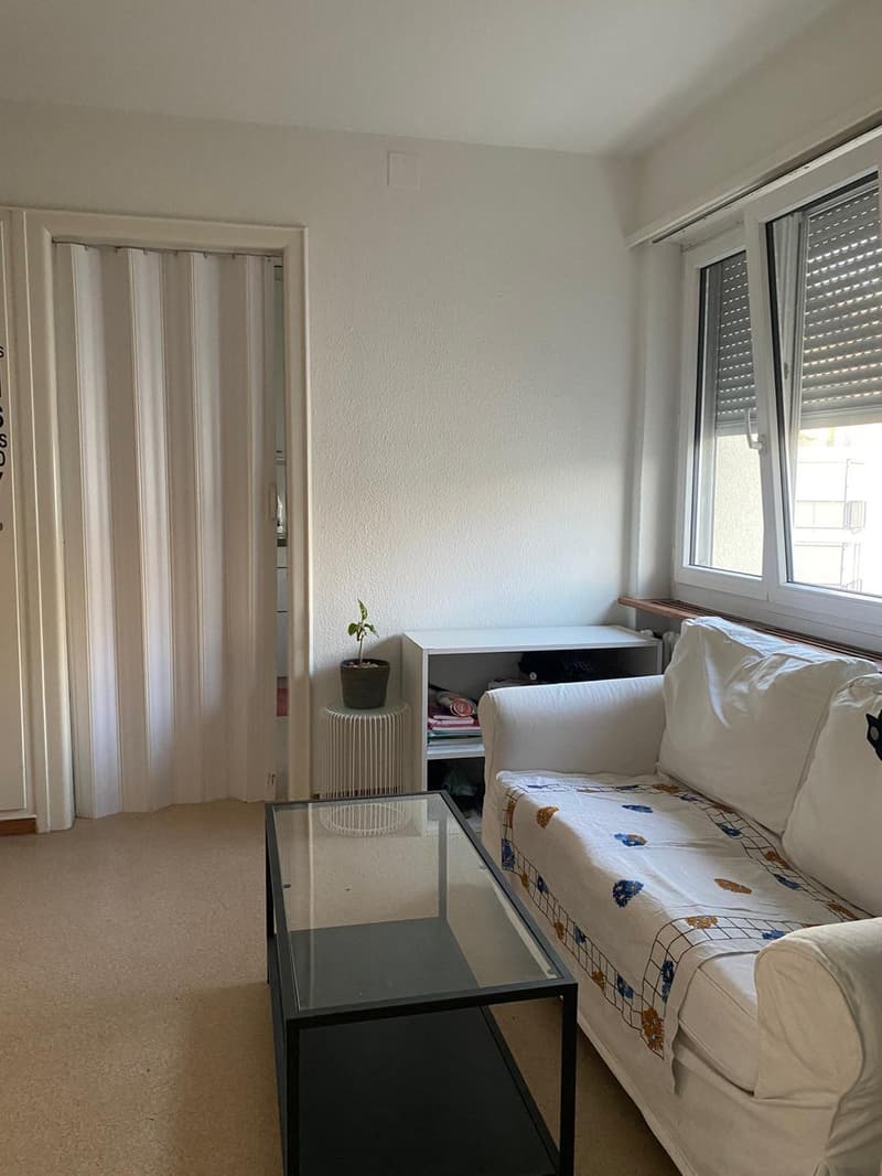 (Sublet) Charming & Central 1.5 Room Apartment in Schmiede Wiedikon (4)