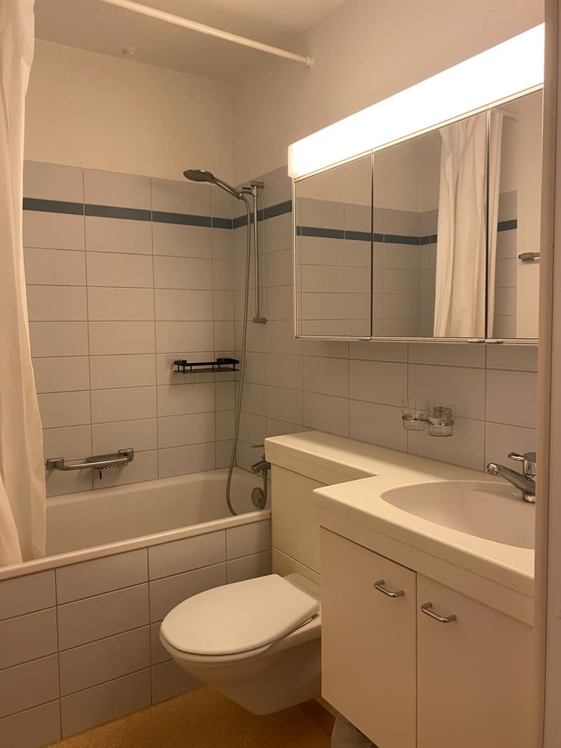 (Sublet) Charming & Central 1.5 Room Apartment in Schmiede Wiedikon (6)