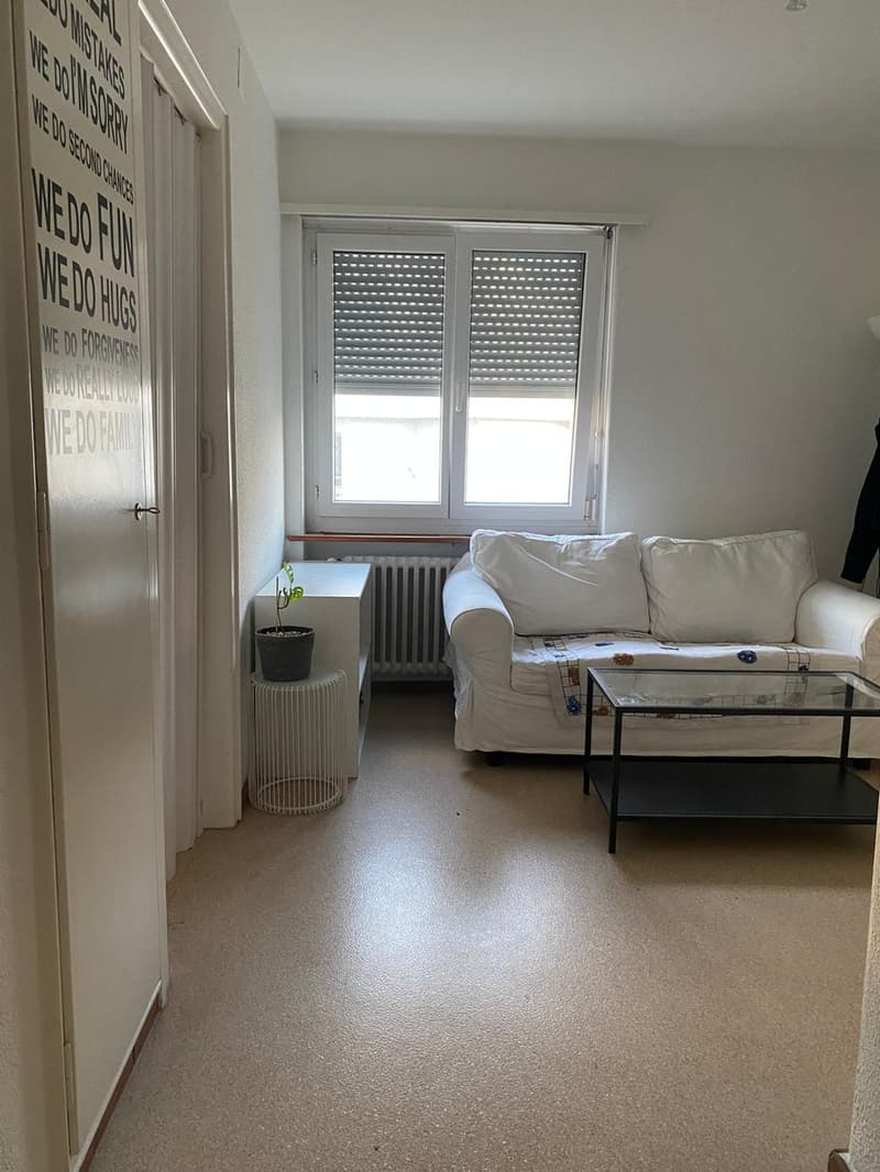 (Sublet) Charming & Central 1.5 Room Apartment in Schmiede Wiedikon (3)