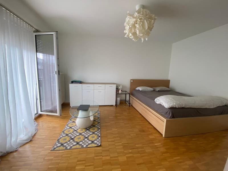 (Sublet) Charming & Central 1.5 Room Apartment in Schmiede Wiedikon (1)