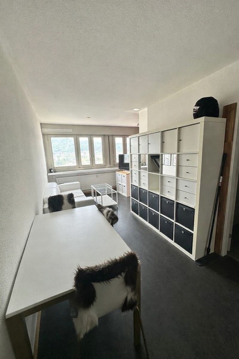 Grosse1.5Zimmer Wohnung möbliert in Zürich Kreis 4 zu Vermieten (5)