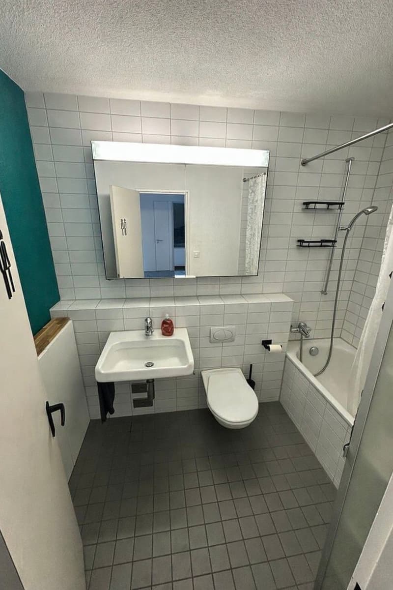 Grosse1.5Zimmer Wohnung möbliert in Zürich Kreis 4 zu Vermieten (3)