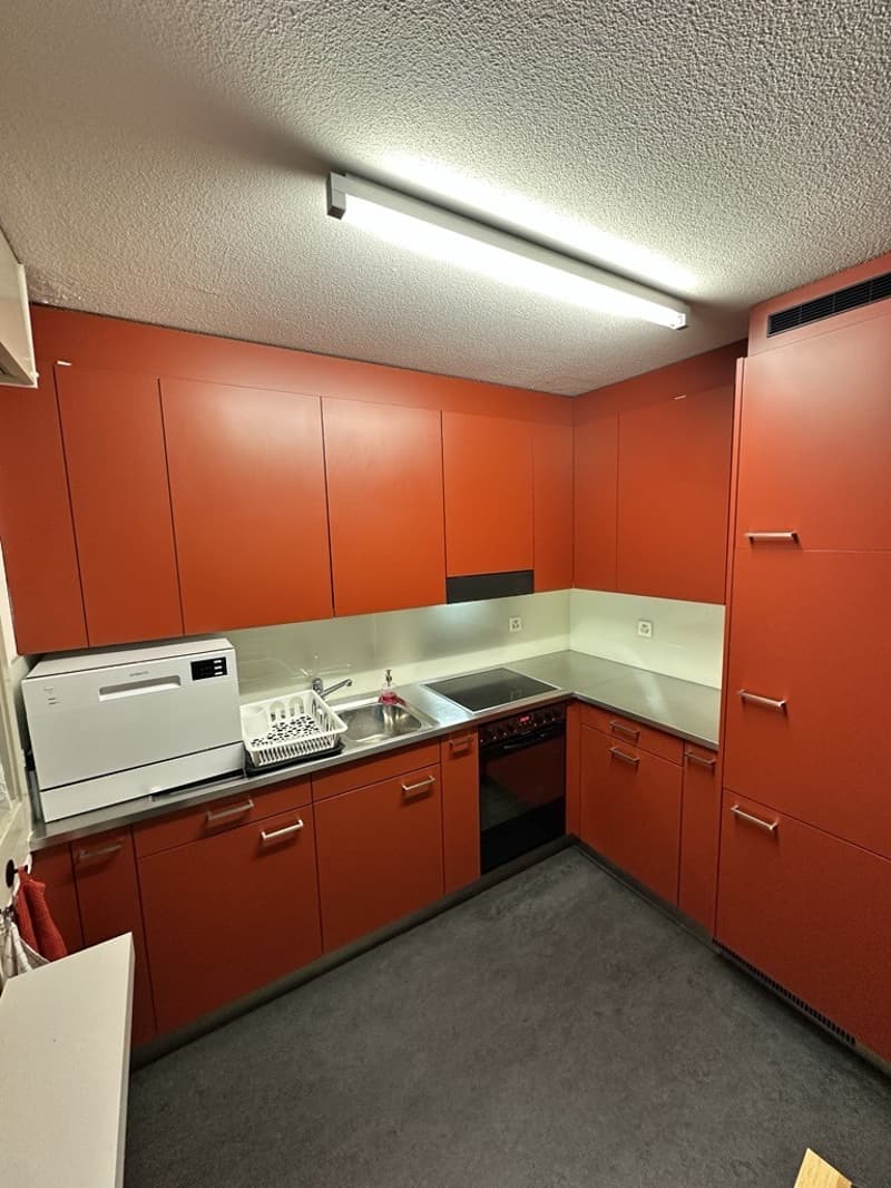 Grosse1.5Zimmer Wohnung möbliert in Zürich Kreis 4 zu Vermieten (2)