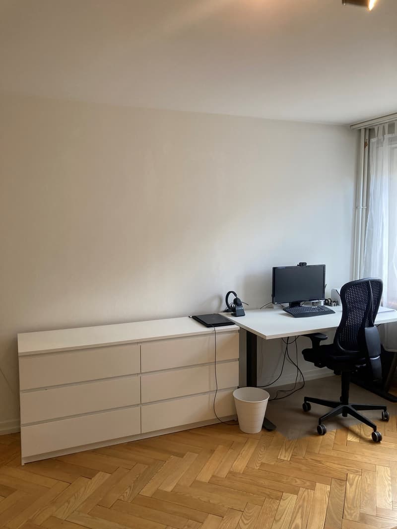 Bello appartamento 2 1/2 locali in subaffitto (6)