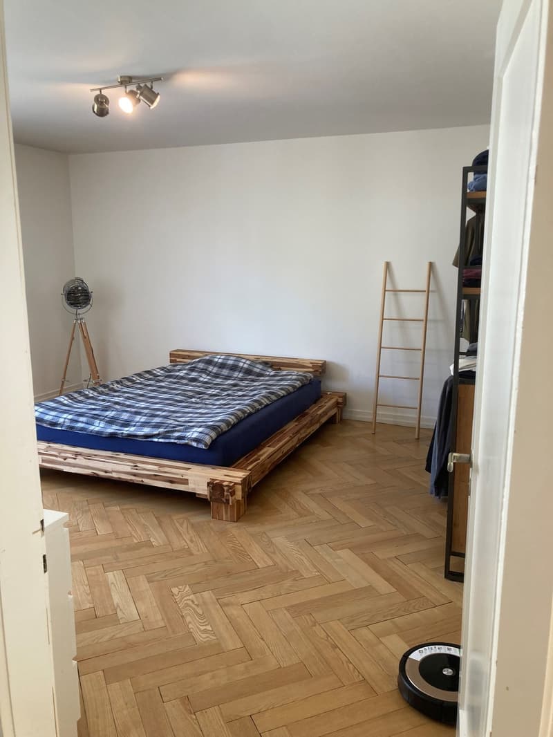Bello appartamento 2 1/2 locali in subaffitto (4)