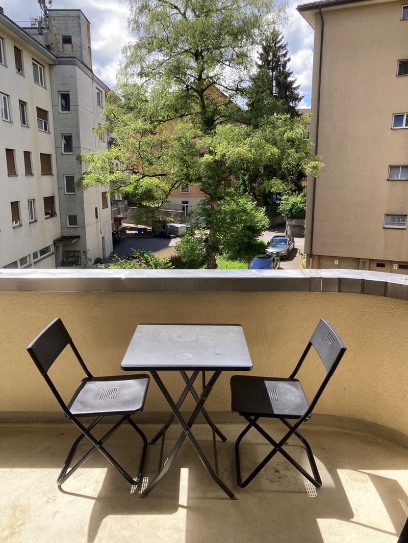 Bello appartamento 2 1/2 locali in subaffitto (12)
