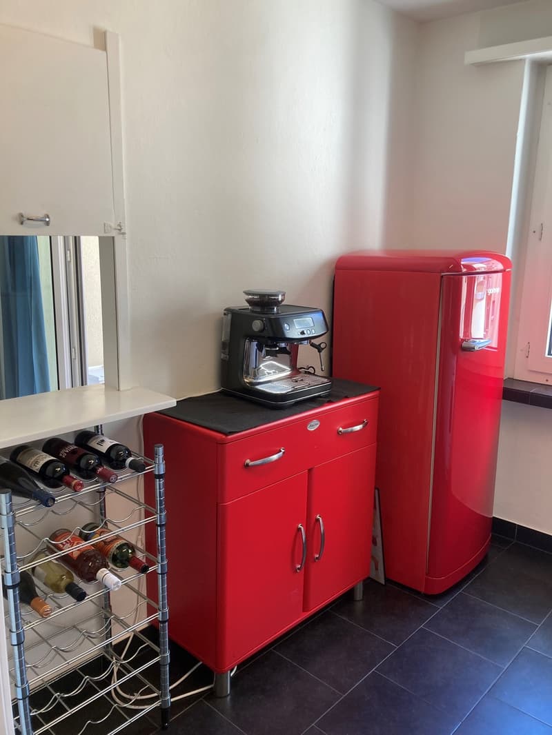 Bello appartamento 2 1/2 locali in subaffitto (10)