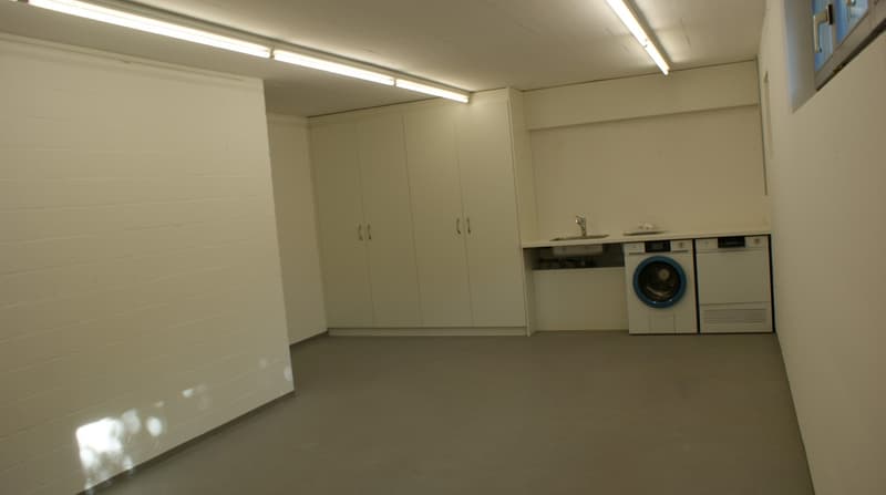 Wohnen wie im Einfamilienhaus (2.5-Zimmer Loft-Hausteil) (6)