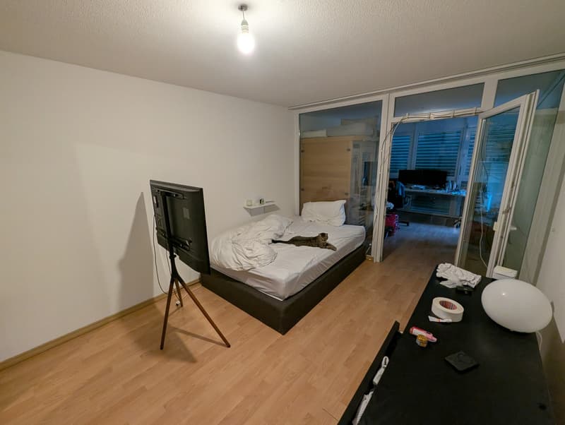 Schöne 2 1/2 Zimmer Wohnung in Winterthur Hegi (2)