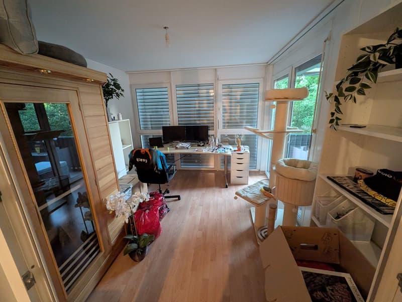 Schöne 2 1/2 Zimmer Wohnung in Winterthur Hegi (3)