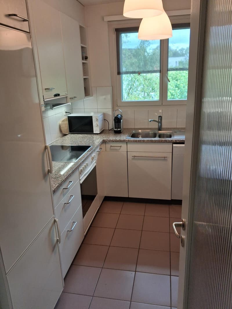 3 Bedroom Apartment, 8704 Herrliberg (1)
