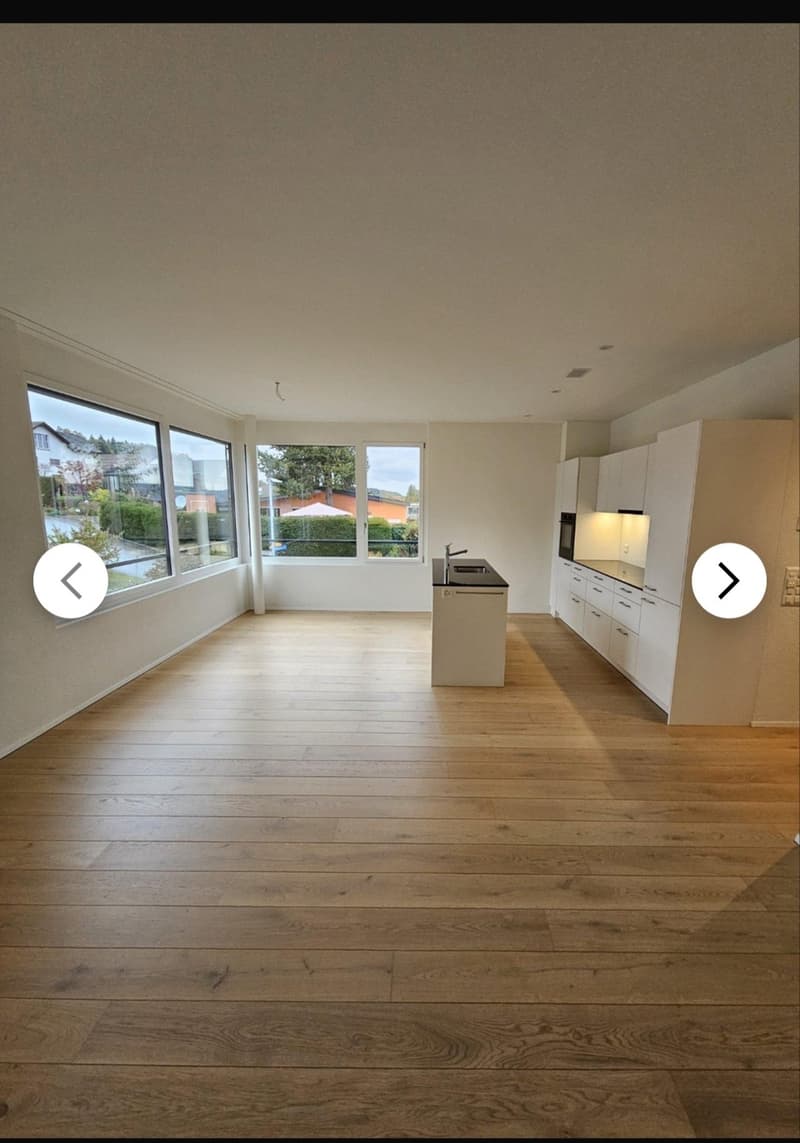 Modern 3.5 room ground floor apartment in Merenschwand (3)