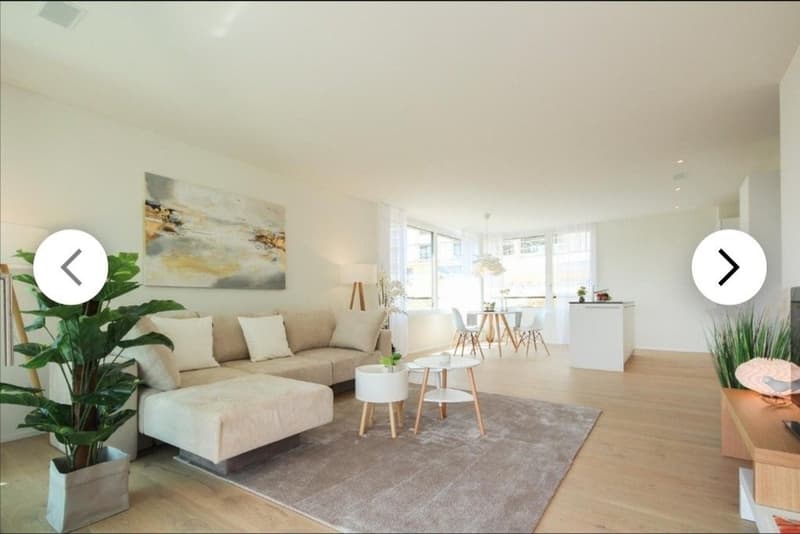 Modern 3.5 room ground floor apartment in Merenschwand (1)