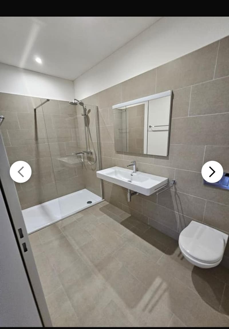 Modern 3.5 room ground floor apartment in Merenschwand (2)