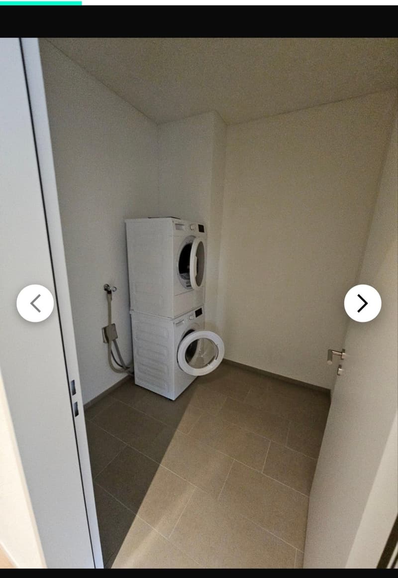 Modern 3.5 room ground floor apartment in Merenschwand (7)