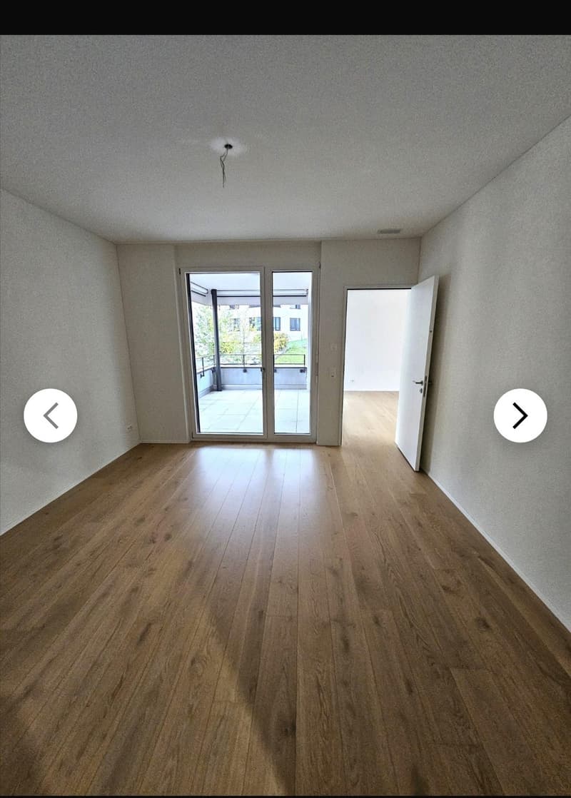 Modern 3.5 room ground floor apartment in Merenschwand (6)