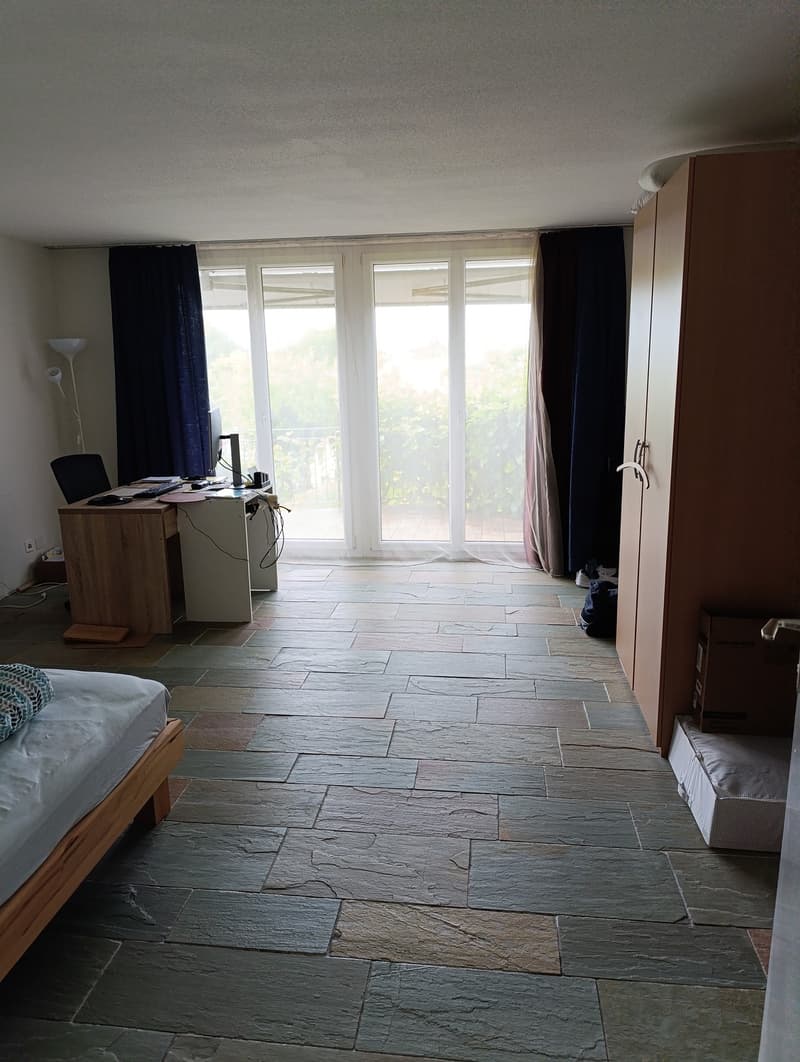 Nachmieter gesucht - Helle 2.5- Zimmer Maisonette-Wohnung mit Alpenblick und zwei Balkonen (7)