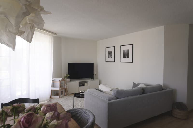 Cercasi inquilino: appartamento di 3,5 locali nel popolare quartiere di Erlen (7)